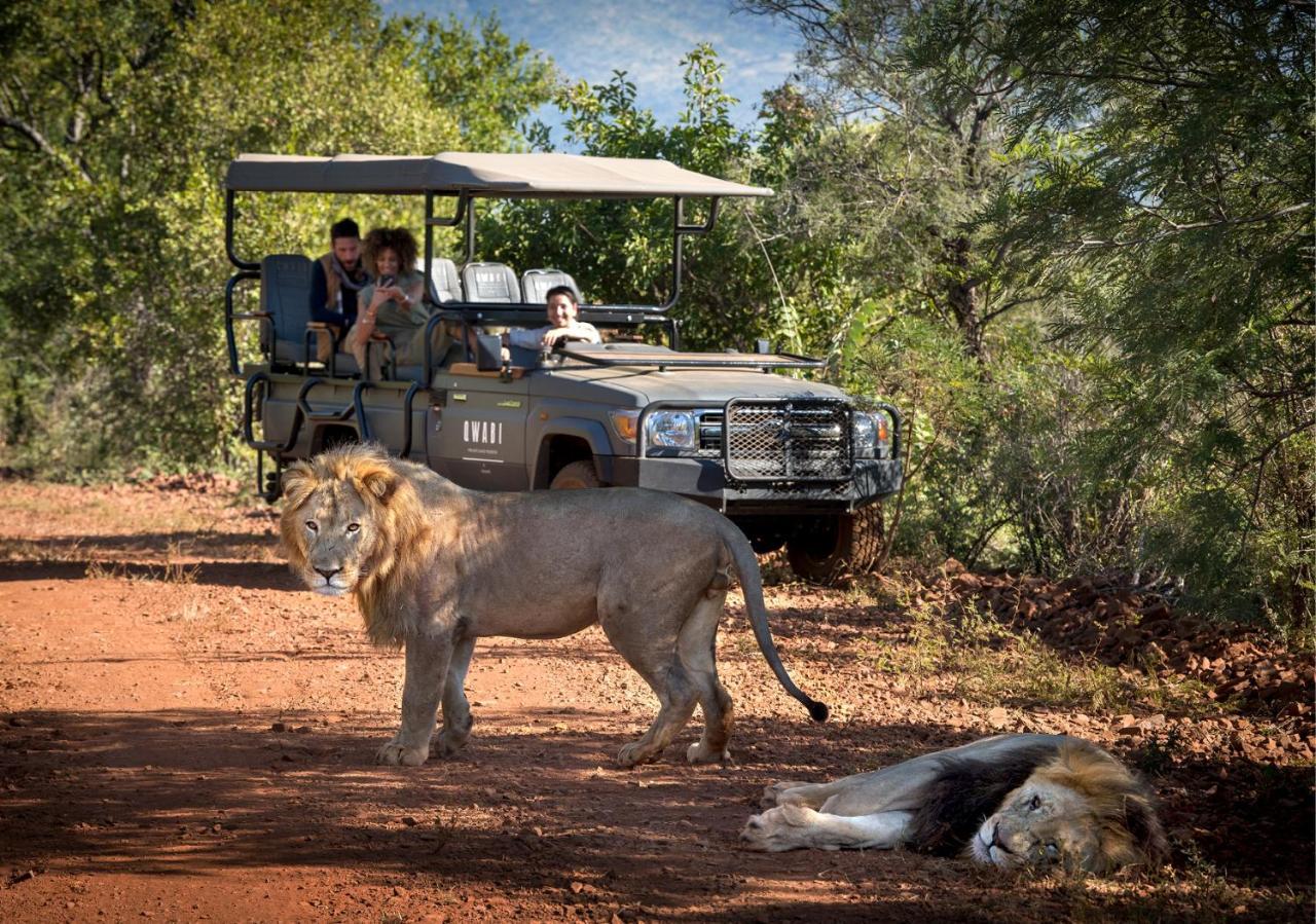 Babohi At Qwabi Private Game Reserve By Newmark Bela-Bela Exterior photo